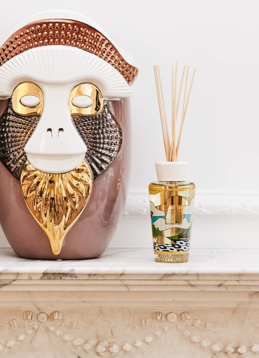 RIO - BAOBAB COLLECTION